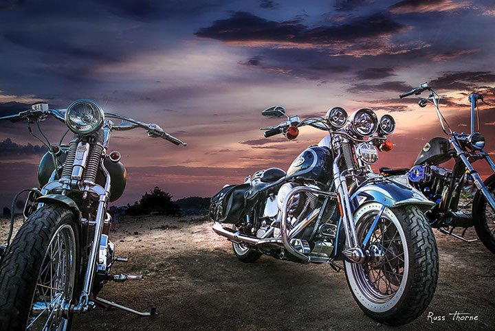 Three custom Harley-Davidson motorcycles displayed against a stunning sunset, showcasing their unique designs and craftsmanship.